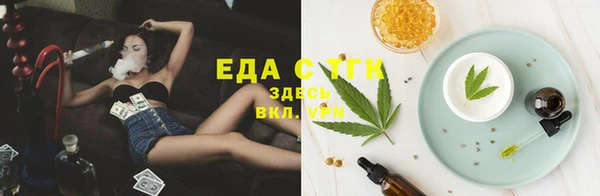 эйфоретик Алзамай